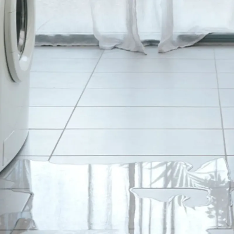 Appliance Leak Cleanup in Kilmarnock, VA