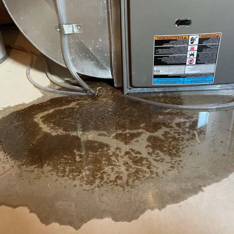 Pipe Burst and Leak Restoration in Kilmarnock, VA